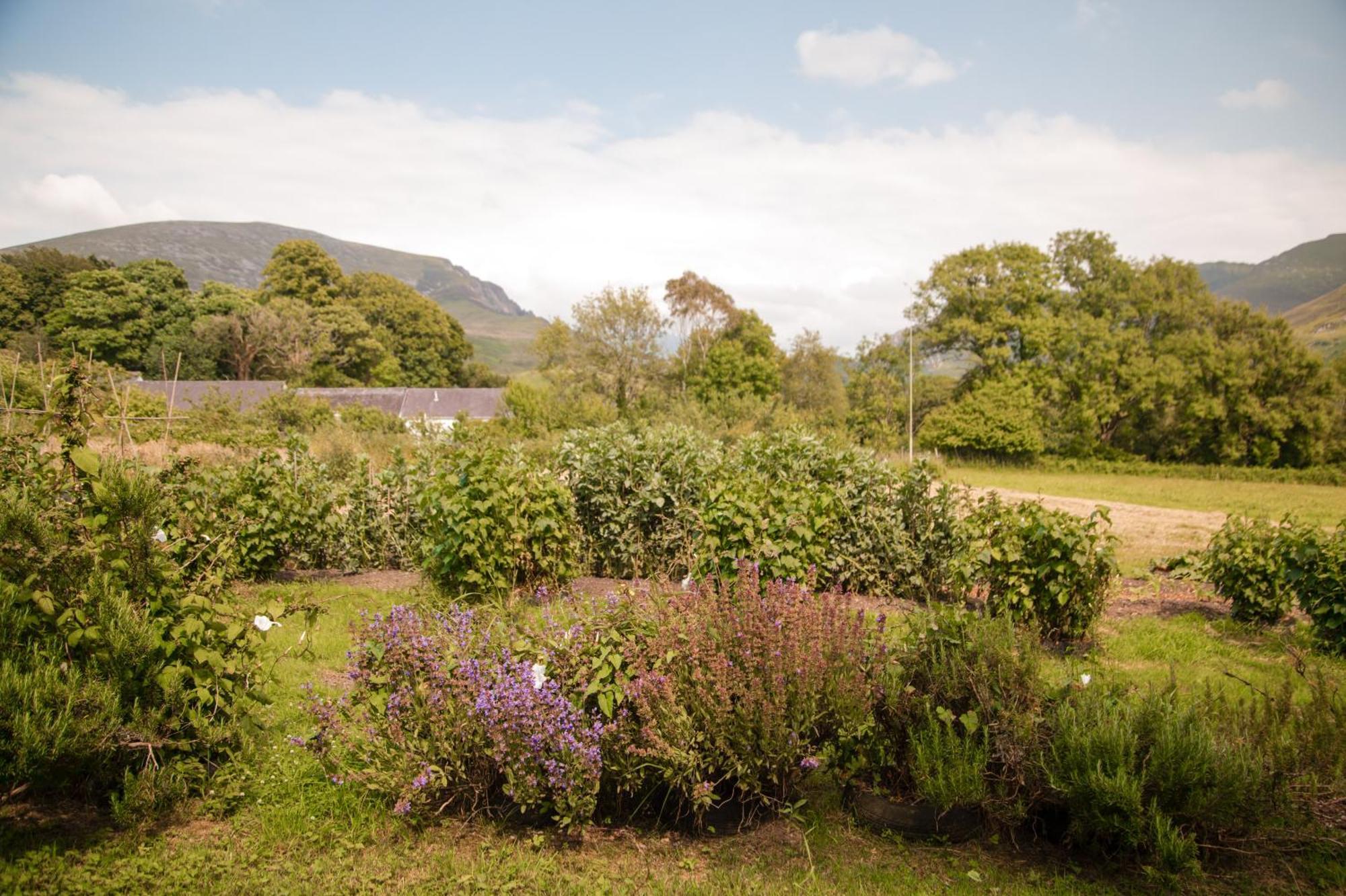 Trigonos - Quiet, Peaceful, Vegetarian B&B And Retreat Centre Nantlle 外观 照片