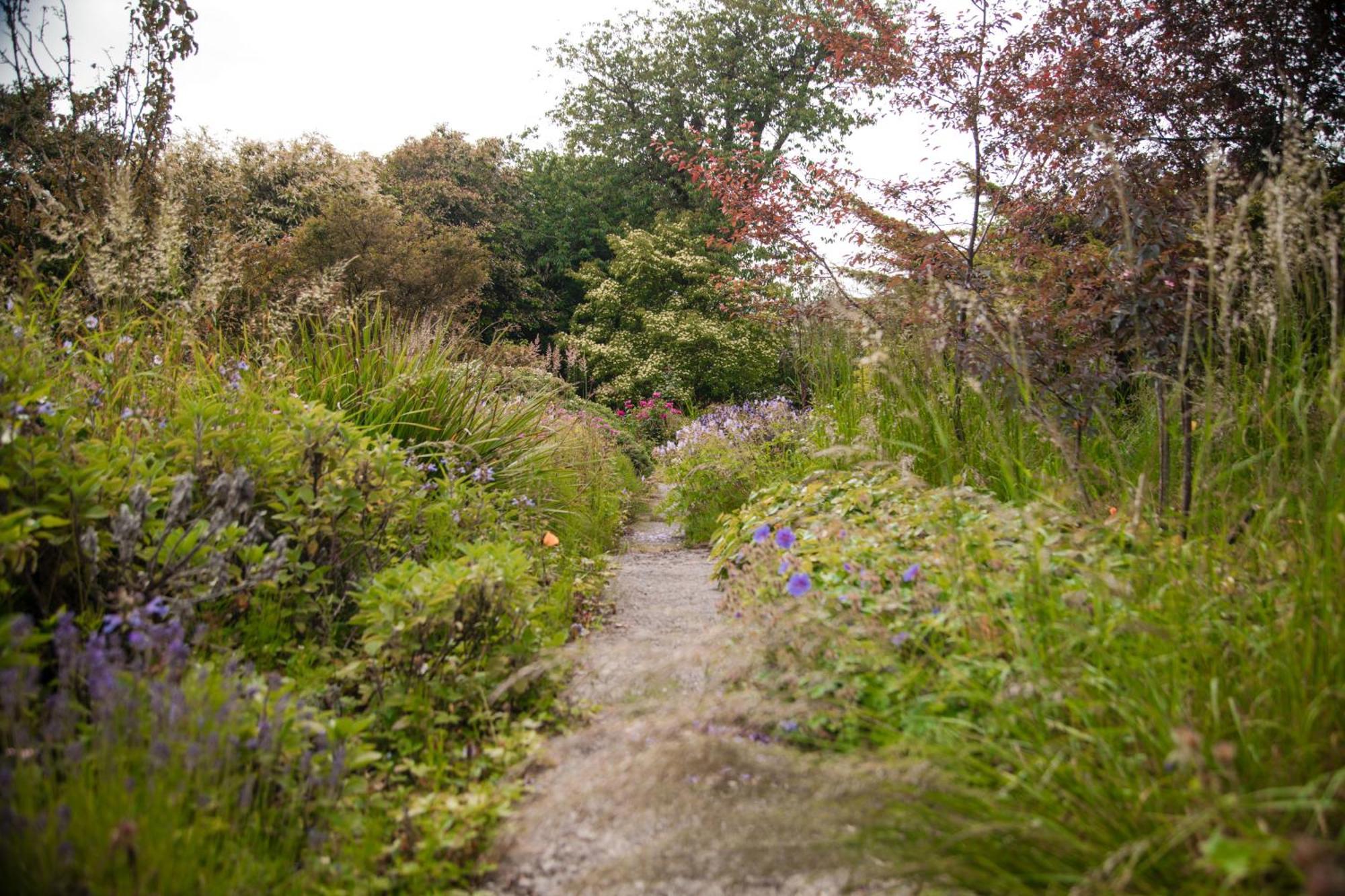 Trigonos - Quiet, Peaceful, Vegetarian B&B And Retreat Centre Nantlle 外观 照片